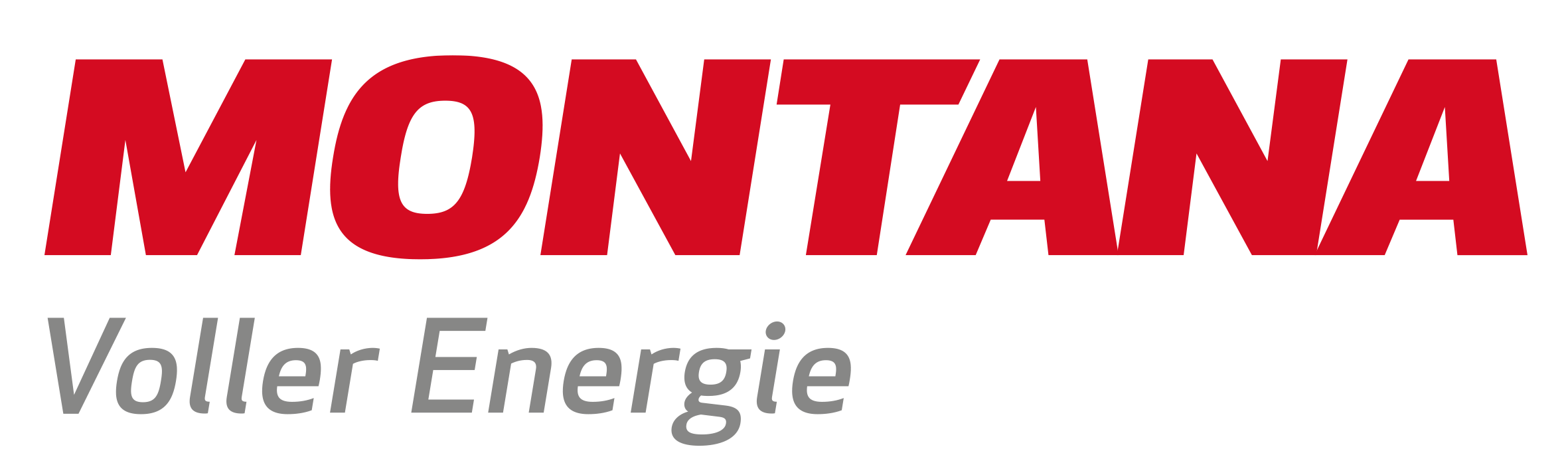 montana Logo